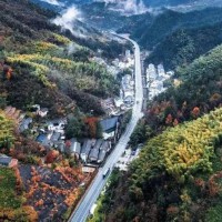 Buy Now Muvee Reviews Bootstrap HTML5 Template